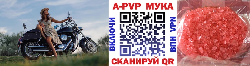 Alfa_PVP СК КРИС  дарк нет какой сайт  Волгоград 