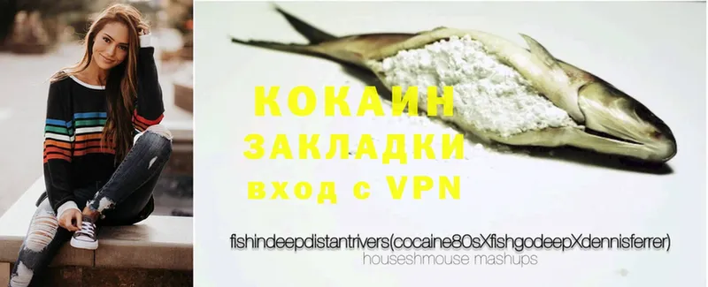 COCAIN Fish Scale  Волгоград 