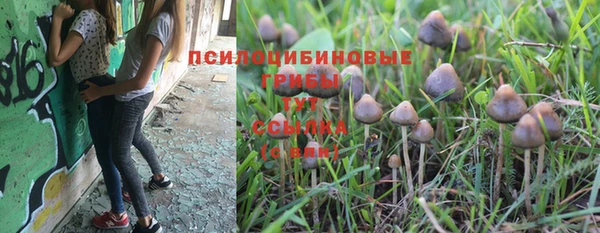 apvp Лихославль