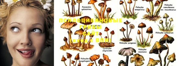 mix Лиски