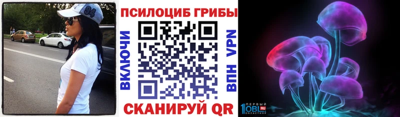 Псилоцибиновые грибы Magic Shrooms  наркота  Волгоград 