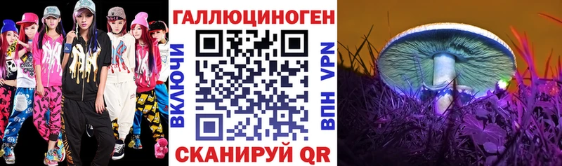 Галлюциногенные грибы Cubensis Волгоград