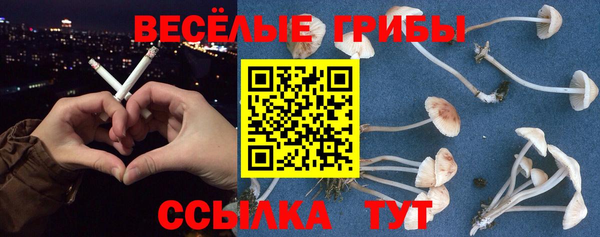 Псилоцибиновые грибы Cubensis Волгоград