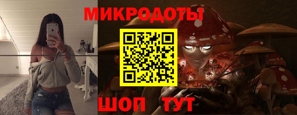 Псилоцибиновые грибы GOLDEN TEACHER  Вход с VPN  Волгоград  купить закладку  Псилоцибиновые грибы Magic Shrooms 